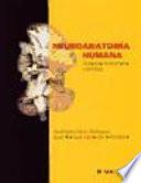 Neuroanatomia Humana Aspectos Funcionales y Clinicos