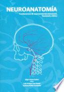 Neuroanatomía