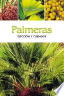 Palmeras - Elección y cuidados