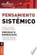 Pensamiento sistémico