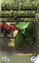Perfil de proyecto de café en asocio con aguacate