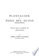 Plantacion y poda del olivo