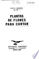 Plantas de flores para cortar