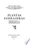 Plantas forrajeras tropicales y subtropicales
