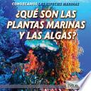 Libro ¿Qué son las plantas marinas y las algas? (What Are Sea Plants and Algae?)