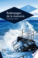 Libro Relámpagos de la memoria