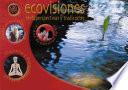 Revista Ecovisiones n2