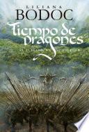 Tiempo de Dragones. El Elegido en su soledad