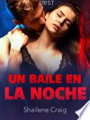 Un baile en la noche - un relato corto erótico