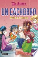 Un cachorro busca casa