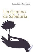 Un Camino de Sabiduría