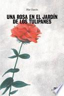 Una rosa en el jardín de los tulipanes