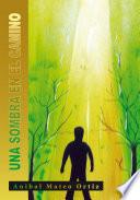 Libro Una sombra en el camino